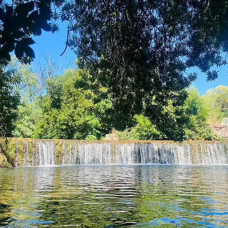 Le Cocoon Lodge Du Gapeau & Massage Solliès-Pont المظهر الخارجي الصورة