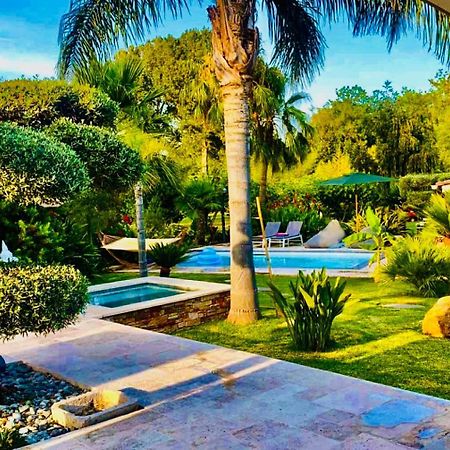 Le Cocoon Lodge Du Gapeau & Massage Solliès-Pont المظهر الخارجي الصورة