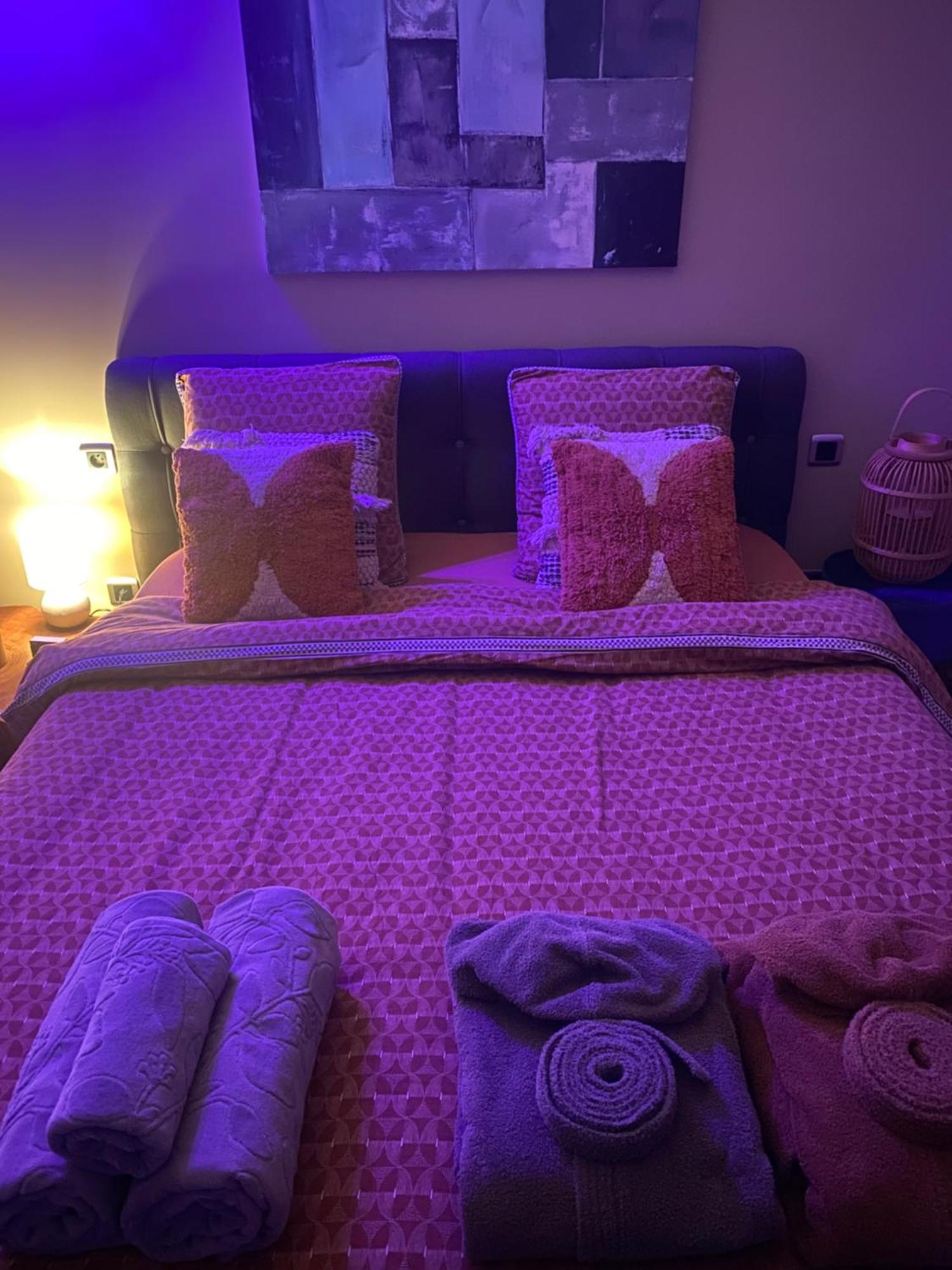 Le Cocoon Lodge Du Gapeau & Massage Solliès-Pont المظهر الخارجي الصورة