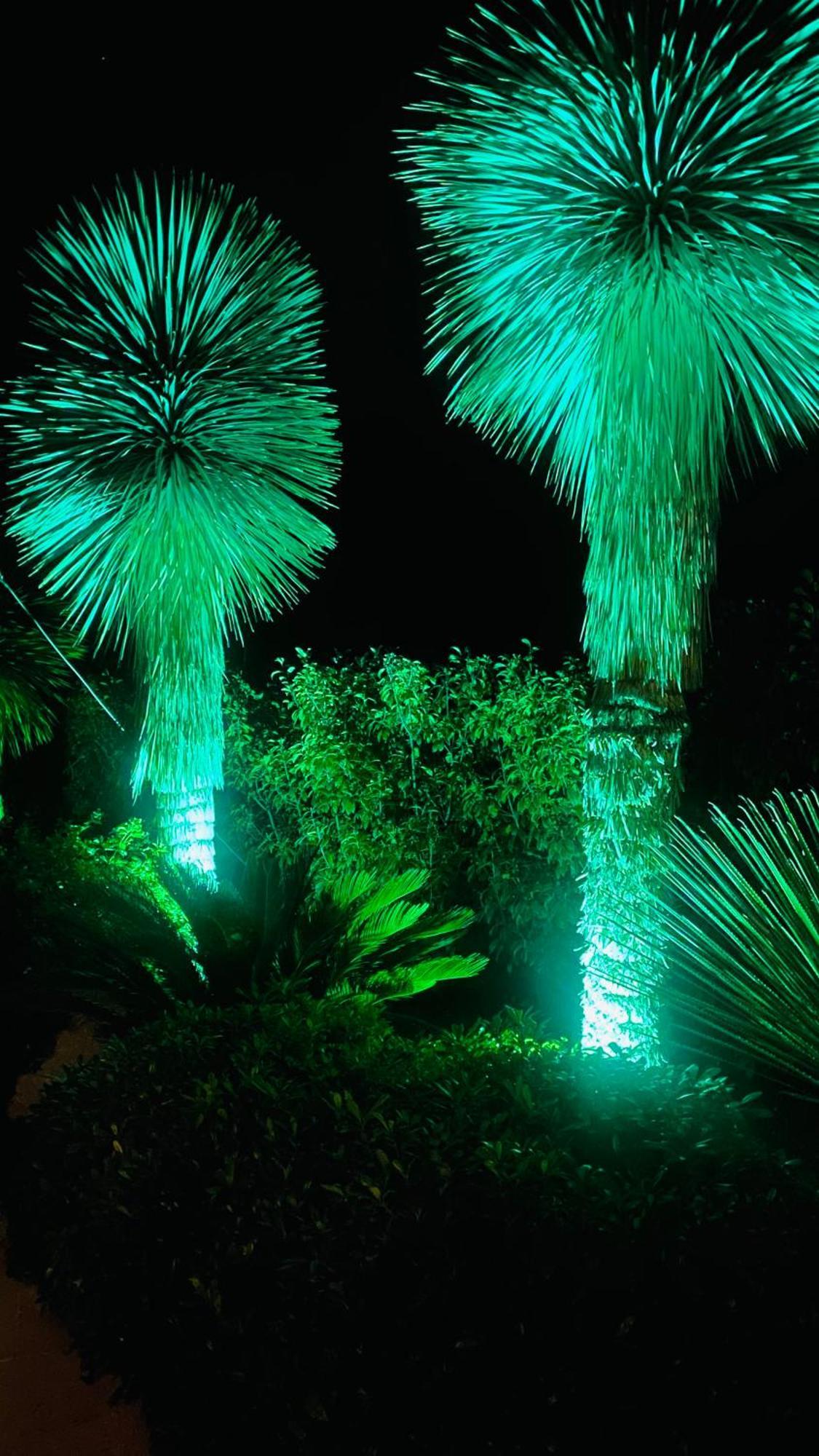 Le Cocoon Lodge Du Gapeau & Massage Solliès-Pont المظهر الخارجي الصورة